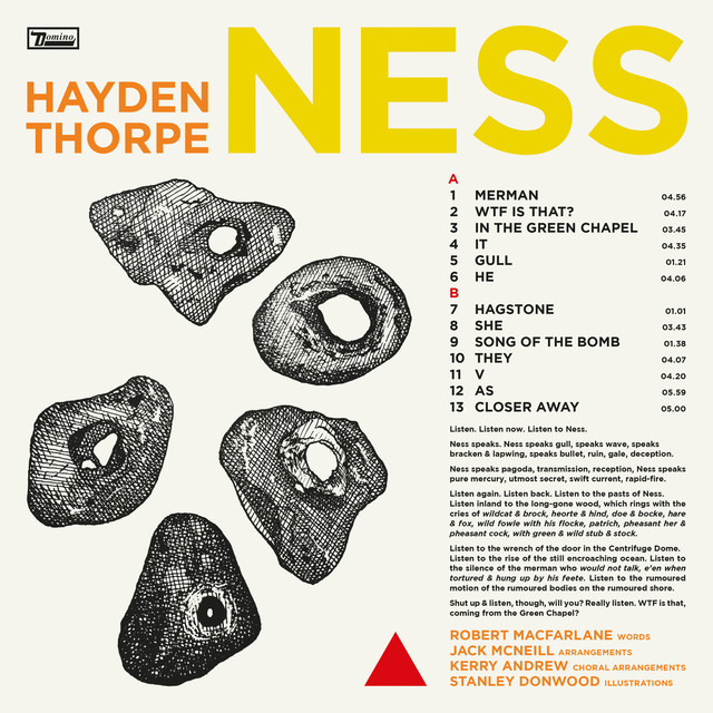 Album art: Hayden Thorpe —  Ness