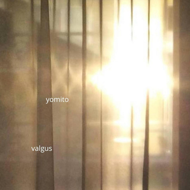 Album art: yomito —  valgus